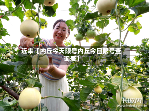 近来【内丘今天限号内丘今日限号查询表】