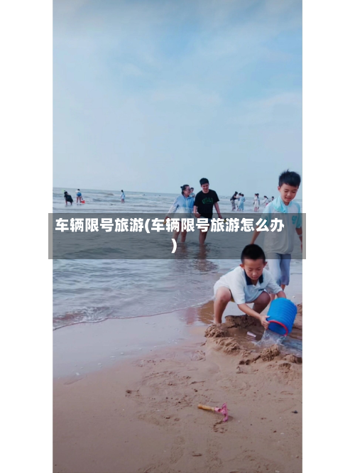 车辆限号旅游(车辆限号旅游怎么办)