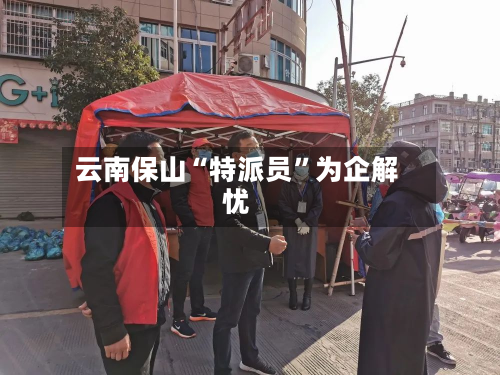 云南保山“特派员”为企解忧