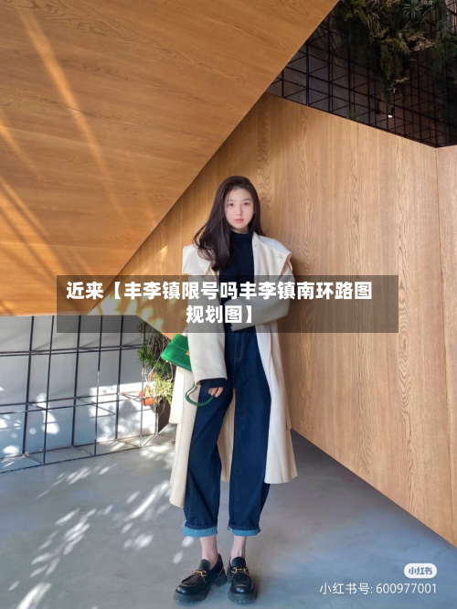 近来【丰李镇限号吗丰李镇南环路图规划图】