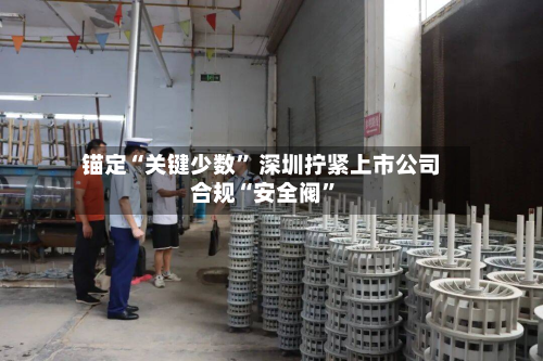 锚定“关键少数” 深圳拧紧上市公司合规“安全阀	”-第3张图片