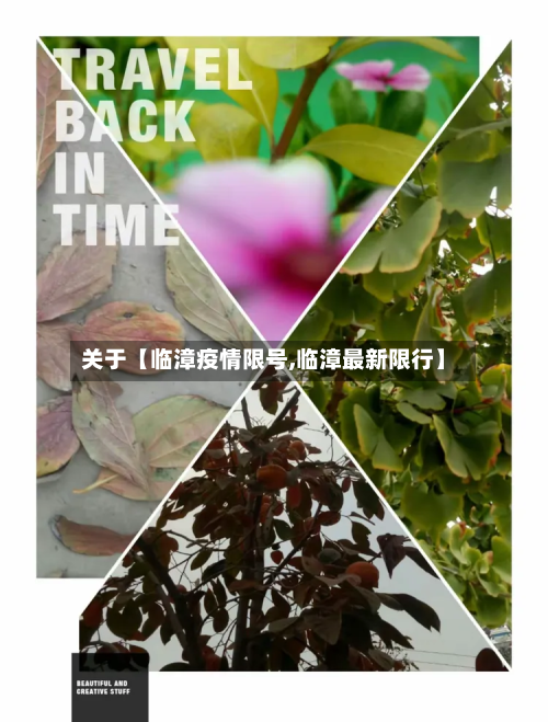 关于【临漳疫情限号,临漳最新限行】
