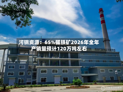 河钢资源:65%磁铁矿2026年全年产销量预计120万吨左右-第2张图片