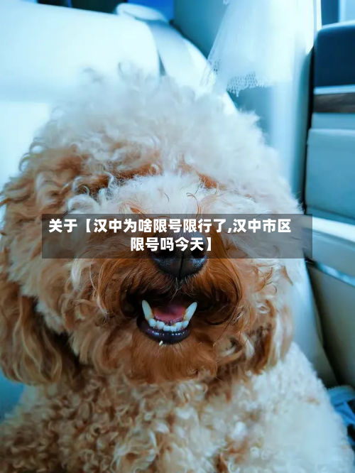 关于【汉中为啥限号限行了,汉中市区限号吗今天】