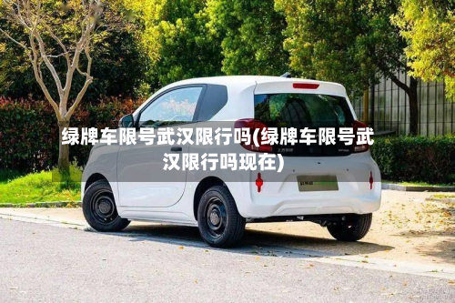 绿牌车限号武汉限行吗(绿牌车限号武汉限行吗现在)