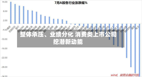 整体承压、业绩分化 消费类上市公司挖潜新动能