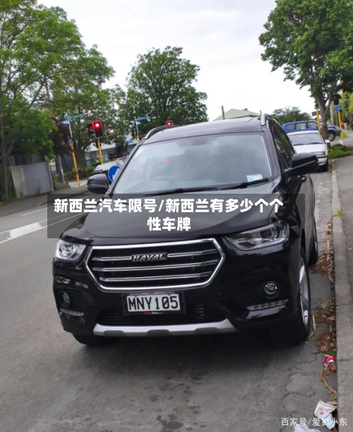 新西兰汽车限号/新西兰有多少个个性车牌-第1张图片