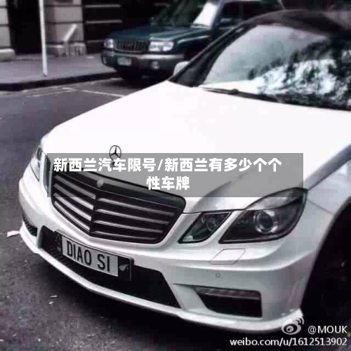 新西兰汽车限号/新西兰有多少个个性车牌-第2张图片