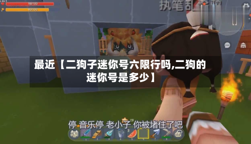 最近【二狗子迷你号六限行吗,二狗的迷你号是多少】
