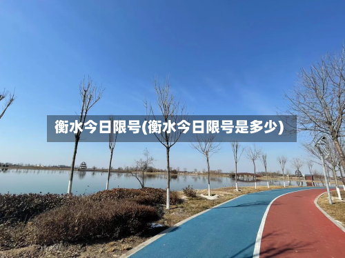 衡水今日限号(衡水今日限号是多少)-第3张图片