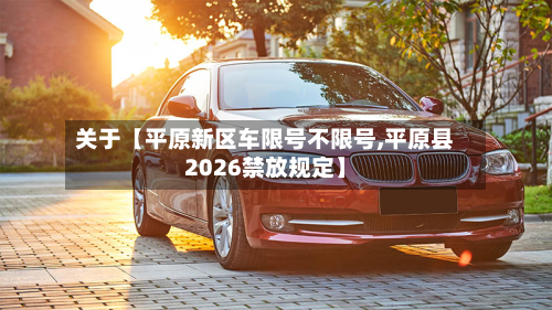 关于【平原新区车限号不限号,平原县2026禁放规定】-第2张图片