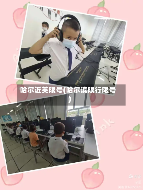 哈尔近英限号(哈尔滨限行限号)-第2张图片