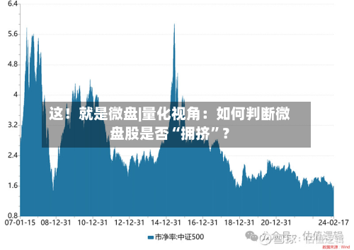 这！就是微盘|量化视角：如何判断微盘股是否“拥挤	”？-第2张图片