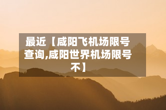 最近【咸阳飞机场限号查询,咸阳世界机场限号不】-第2张图片