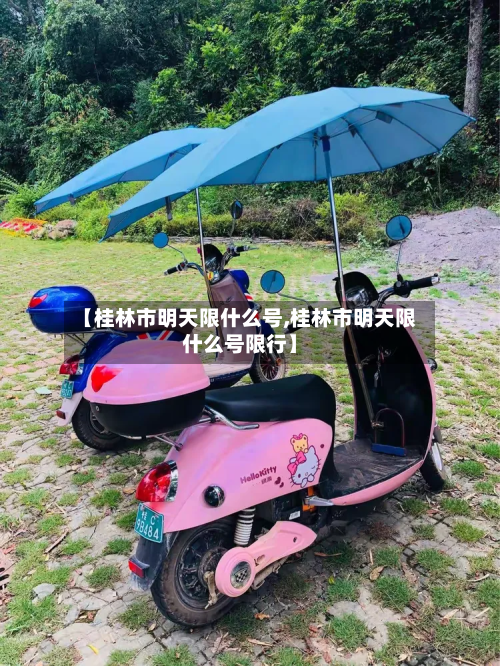 【桂林市明天限什么号,桂林市明天限什么号限行】
