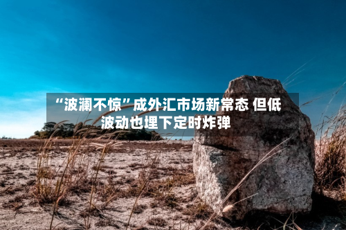“波澜不惊”成外汇市场新常态 但低波动也埋下定时炸弹-第2张图片