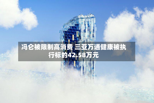 冯仑被限制高消费 三亚万通健康被执行标的42.58万元-第2张图片