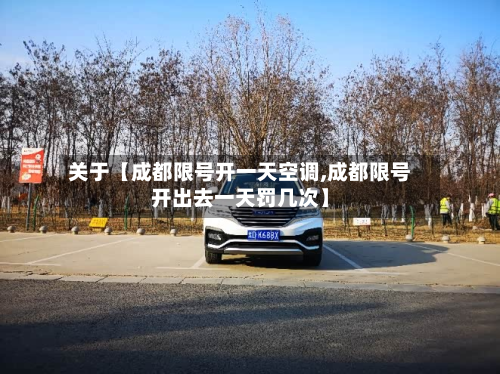 关于【成都限号开一天空调,成都限号开出去一天罚几次】-第2张图片
