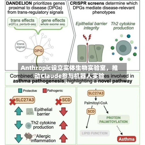 Anthropic设立实体生物实验室，推动Claude参与机器人实验-第2张图片