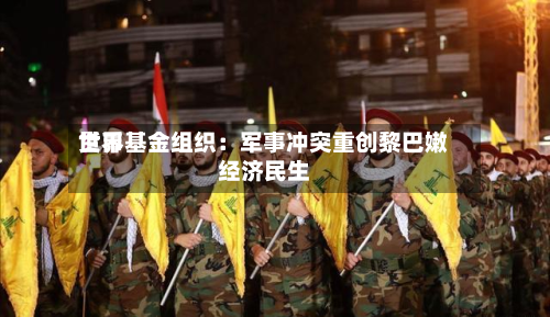 世界货币基金组织：军事冲突重创黎巴嫩经济民生-第3张图片