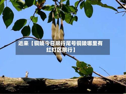 近来【铜陵今日限行尾号铜陵哪里有红灯区限行】-第3张图片