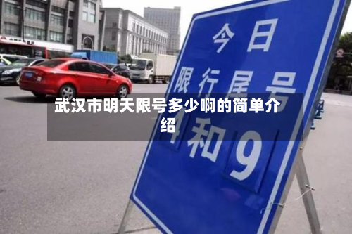 武汉市明天限号多少啊的简单介绍-第2张图片