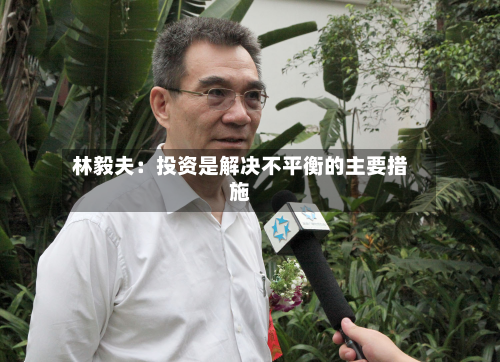 林毅夫:投资是解决不平衡的主要措施