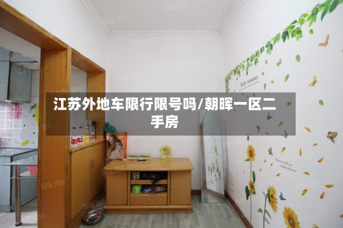 江苏外地车限行限号吗/朝晖一区二手房