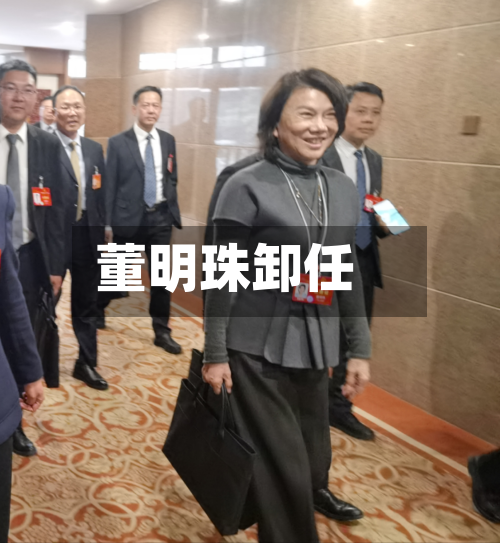 董明珠卸任