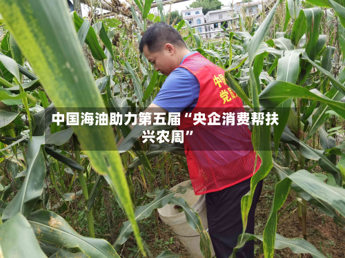 中国海油助力第五届“央企消费帮扶兴农周	”-第2张图片