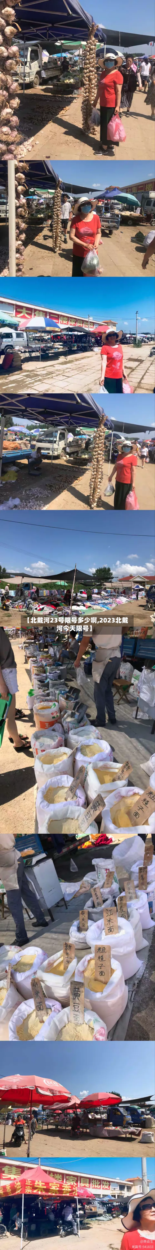 【北戴河23号限号多少啊,2023北戴河今天限号】-第2张图片