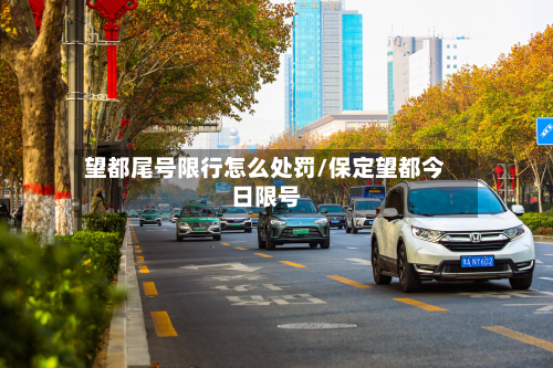 望都尾号限行怎么处罚/保定望都今日限号