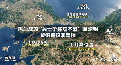 黑海成为“另一个霍尔木兹” 全球粮食供应拉响警报-第2张图片