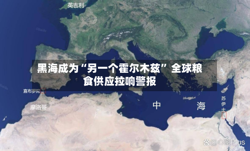 黑海成为“另一个霍尔木兹” 全球粮食供应拉响警报