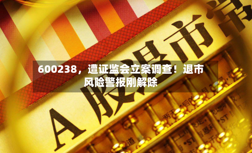 600238，遭证监会立案调查！退市风险警报刚解除-第2张图片