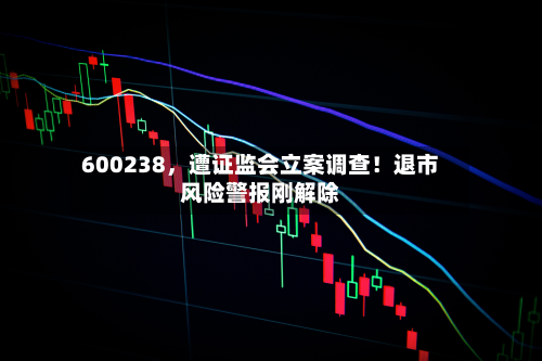 600238	，遭证监会立案调查！退市风险警报刚解除-第3张图片