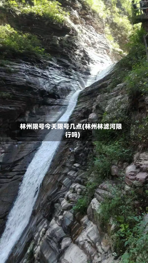 林州限号今天限号几点(林州林滤河限行吗)-第2张图片