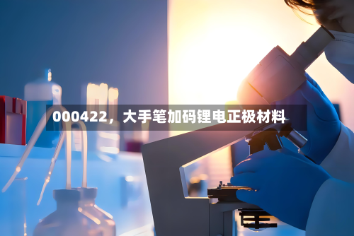 000422，大手笔加码锂电正极材料-第3张图片