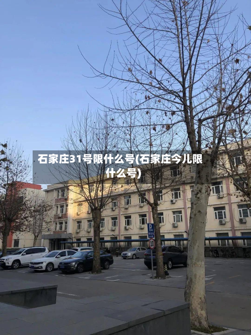 石家庄31号限什么号(石家庄今儿限什么号)