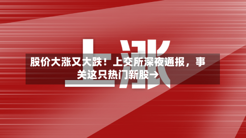 股价大涨又大跌！上交所深夜通报，事关这只热门新股→-第3张图片