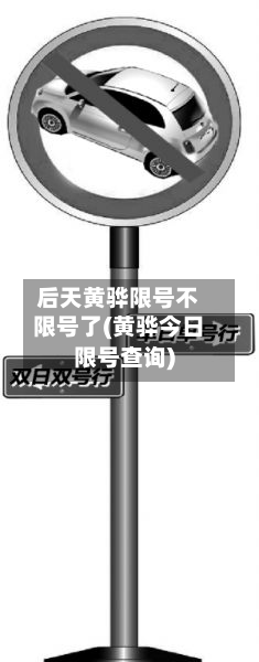 后天黄骅限号不限号了(黄骅今日限号查询)
