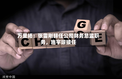 万里扬：张雷刚辞任公司财务总监职务	，施宇琼接任-第2张图片