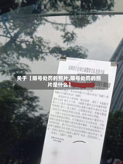 关于【限号处罚的照片,限号处罚的照片是什么】-第3张图片