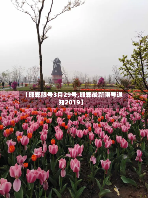 【邯郸限号3月29号,邯郸最新限号通知2019】