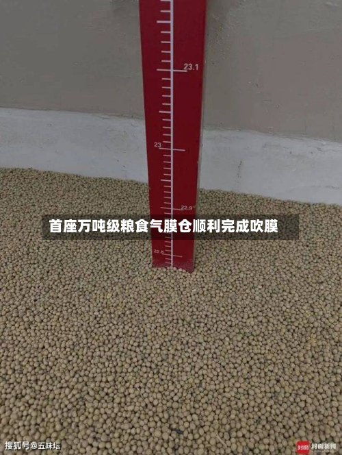 首座万吨级粮食气膜仓顺利完成吹膜