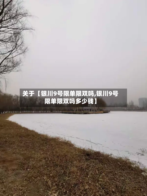 关于【银川9号限单限双吗,银川9号限单限双吗多少钱】