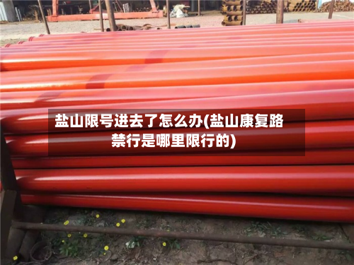 盐山限号进去了怎么办(盐山康复路禁行是哪里限行的)