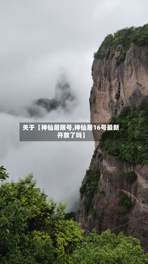 关于【神仙居限号,神仙居16号最新开放了吗】