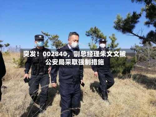 突发！002840	，副总经理朱文文被公安局采取强制措施-第3张图片