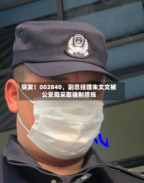 突发！002840，副总经理朱文文被公安局采取强制措施-第2张图片
